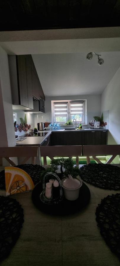 Apartament Elbrus Czyrna Szczyrk Wypozyczalnia Rowerow E-Bike Czyrna Szkola Narciarska & Wypozyczalnia Ski Serwis Esterno foto